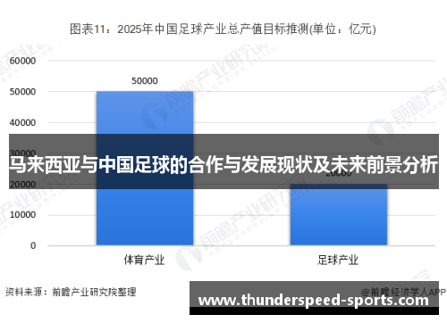 马来西亚与中国足球的合作与发展现状及未来前景分析